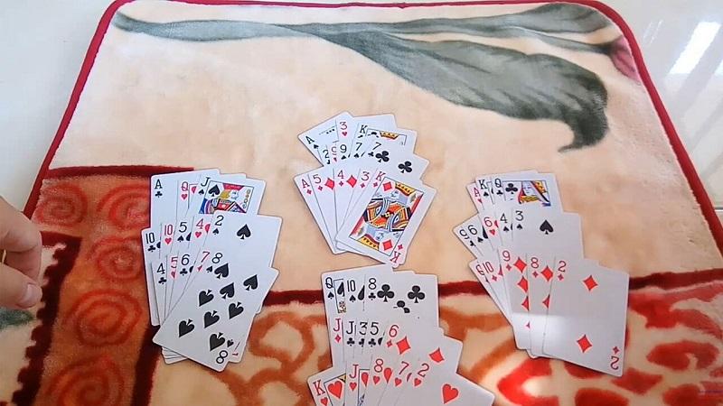 Khám phá cách chăm sóc Cây Phát Tài để Cây Phát Tài phát triển xanh tốt trong ngôi nhà bạn