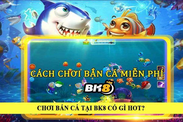 Khám phá thế giới Dragon Isle cùng Dragon Isle trải nghiệm giải trí đặc sắc
