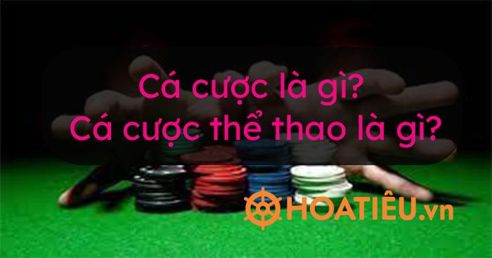 Hướng dẫn chi tiết cách dang nhap lq đơn giản và nhanh chóng nhất